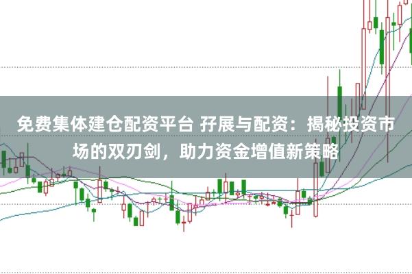 免费集体建仓配资平台 孖展与配资：揭秘投资市场的双刃剑，助力资金增值新策略