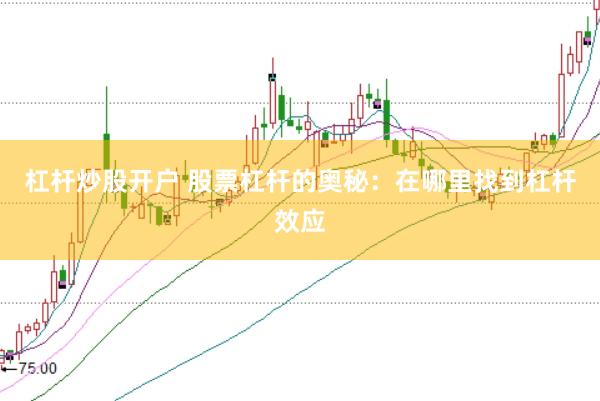 杠杆炒股开户 股票杠杆的奥秘：在哪里找到杠杆效应