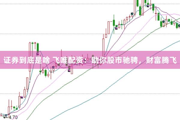 证券到底是啥 飞唯配资：助你股市驰骋，财富腾飞