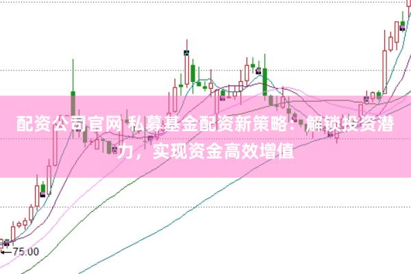 配资公司官网 私募基金配资新策略：解锁投资潜力，实现资金高效增值
