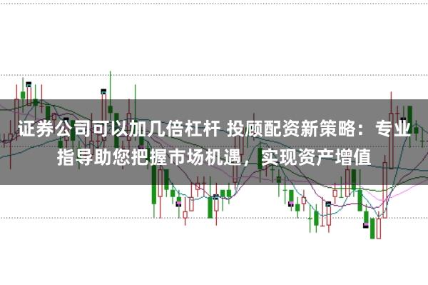证券公司可以加几倍杠杆 投顾配资新策略：专业指导助您把握市场机遇，实现资产增值