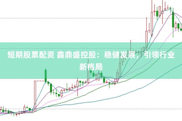 短期股票配资 鑫鼎盛控股：稳健发展，引领行业新格局