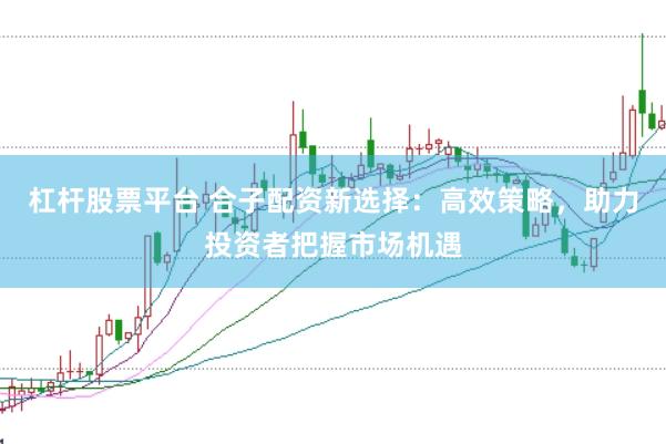 杠杆股票平台 合子配资新选择：高效策略，助力投资者把握市场机遇