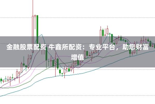 金融股票配资 牛鑫所配资：专业平台，助您财富增值
