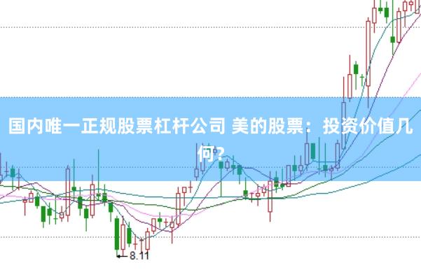 国内唯一正规股票杠杆公司 美的股票：投资价值几何？