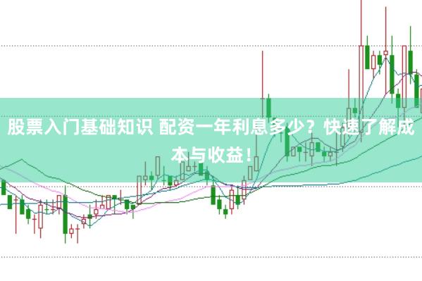股票入门基础知识 配资一年利息多少？快速了解成本与收益！