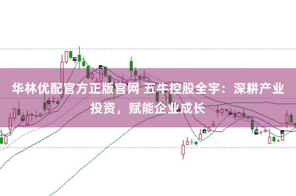华林优配官方正版官网 五牛控股全宇：深耕产业投资，赋能企业成长