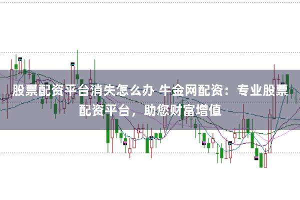 股票配资平台消失怎么办 牛金网配资：专业股票配资平台，助您财富增值