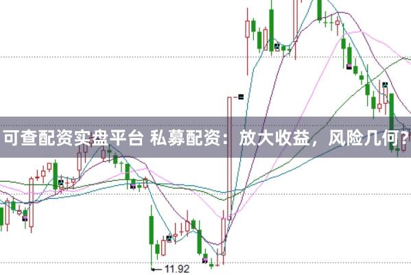 可查配资实盘平台 私募配资：放大收益，风险几何？