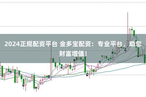 2024正规配资平台 金多宝配资：专业平台，助您财富增值！