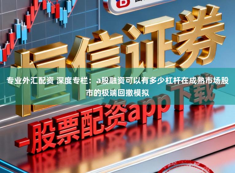 专业外汇配资 深度专栏：a股融资可以有多少杠杆在成熟市场股市的极端回撤模拟